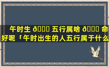 午时生 🐟 五行属啥 🐛 命格好呢「午时出生的人五行属于什么命」